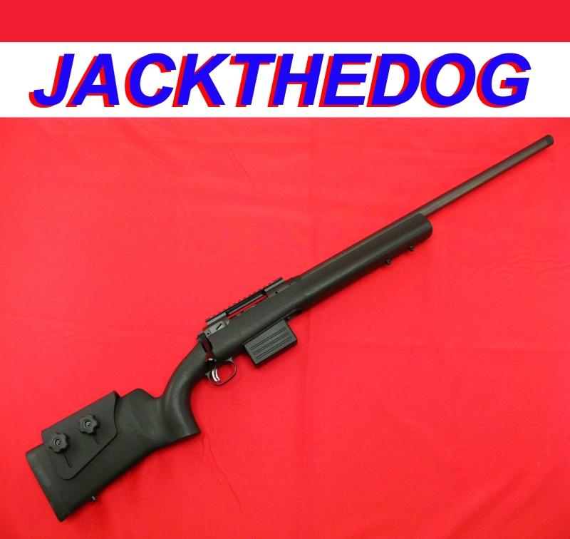 SAVAGE - MODEL 10FCP .308 WIN w HS Precision Stock, Threaded Bbl ...