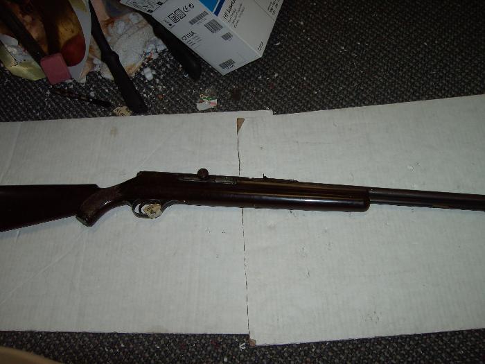 Western Field Model 87 22lr Semi Auto Rifle No Reserve