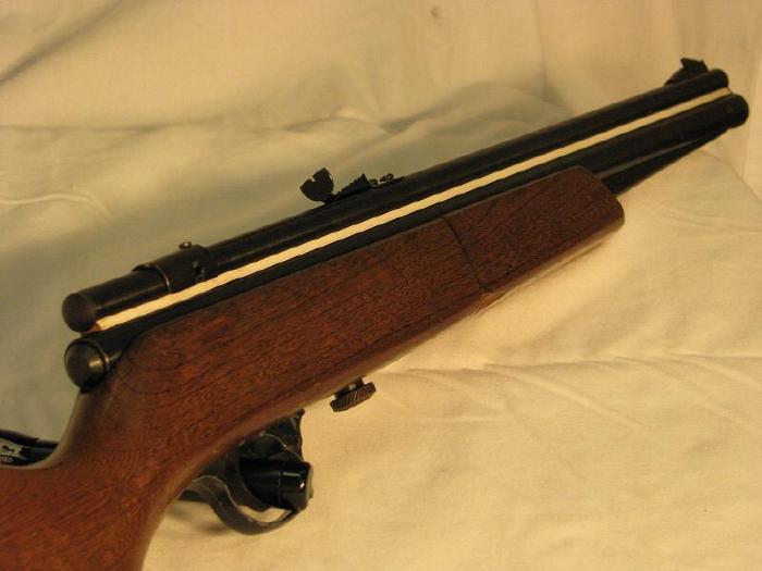 Sears Robuck 22 Cal. Air Rifle 126.19300 For Sale at GunAuction.com ...