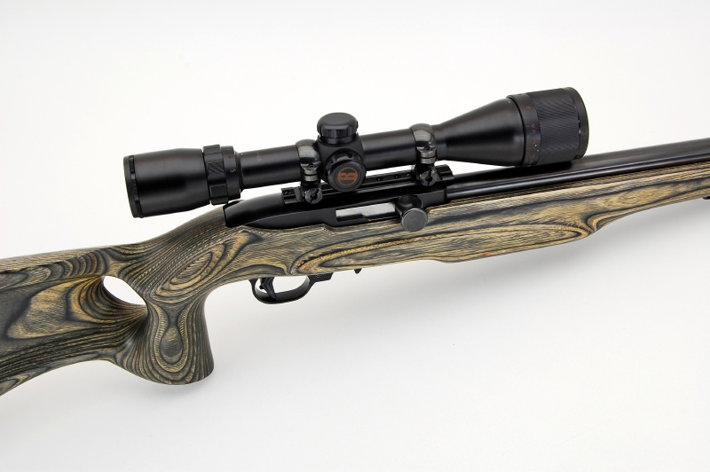 Ruger - 10/22 Custom Rifle Caliber 17hm2 & 4x12 Scope With Thumbhole ...