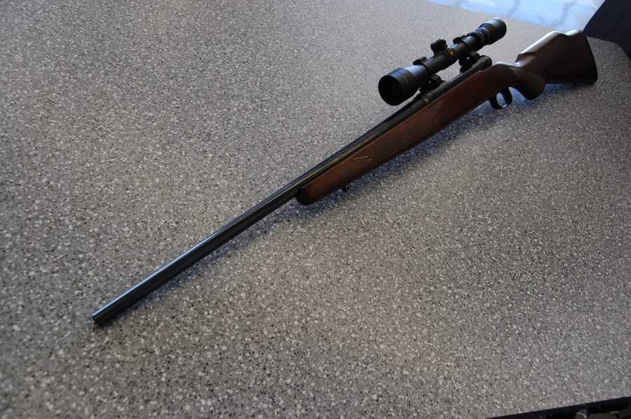 Savage model 10 stock options