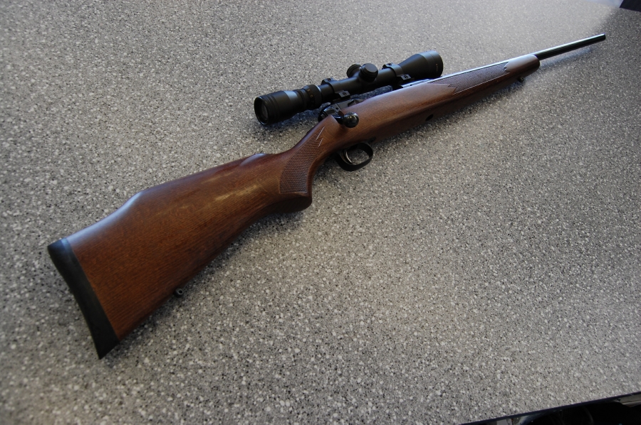 Savage model 10 stock options