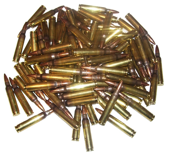 Federal 5.56 M193 Ball, 200 Rounds Bulk For Sale at GunAuction.com ...