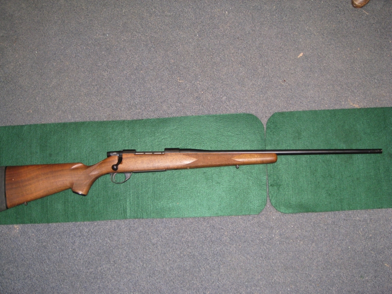 Weatherby vanguard stock options