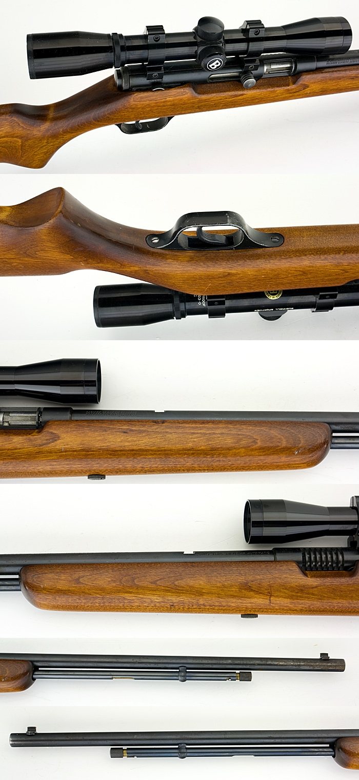 Stevens Savage Model 87d Semiauto Rifle 22 Lr Bushnell Scope C R Ok For Sale At Gunauction 10210787