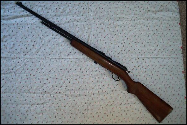 Winchester / Cooey (Canadian) Bolt-Action 22 Repeater For Sale at ...