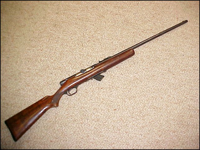 SAVAGE Model 7 22 caliber, semi auto, clip fed, C&R okay For Sale at ...