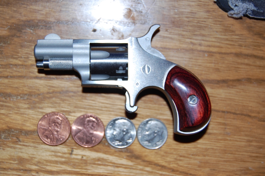 North American Arms Naa .22 Short Revolver   250 Rds Of .22 Short Ammo 