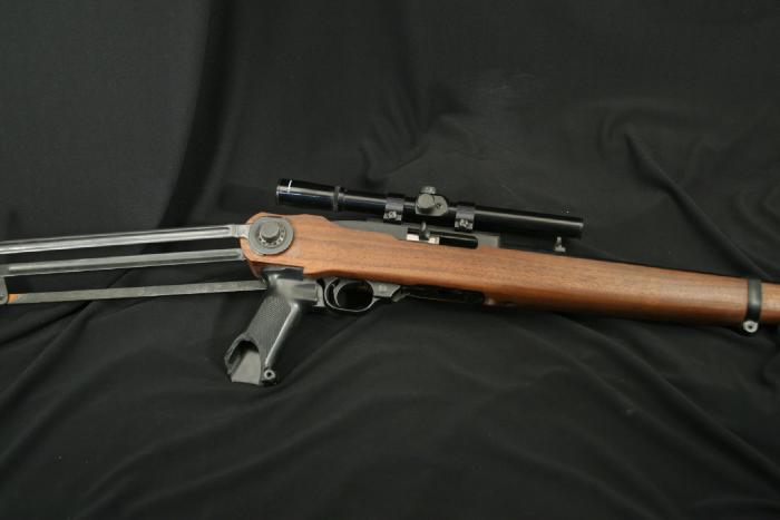 Ruger 10/22 stock options