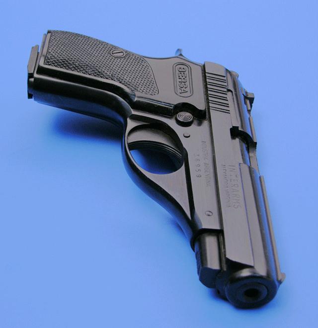 Bersa Model 644 .22lr Semi Auto Pistol For Sale At GunAuction.com - 9442514