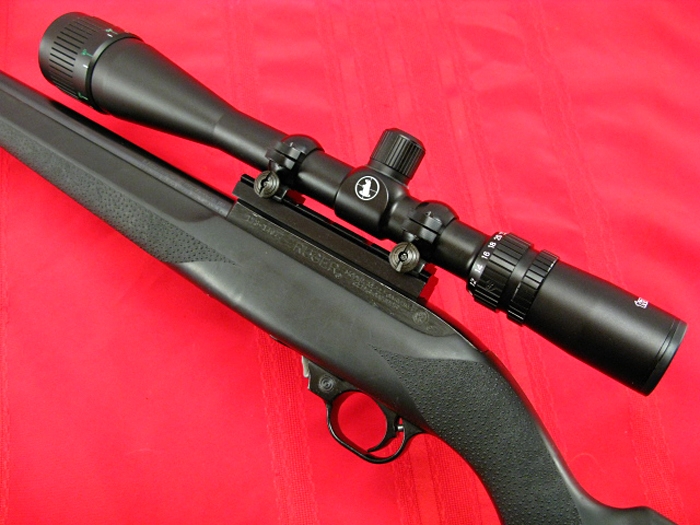 Ruger - 10/22 Custom Rifle Chambered For .17hm2 W/ 6x24 Scope & Hogue ...