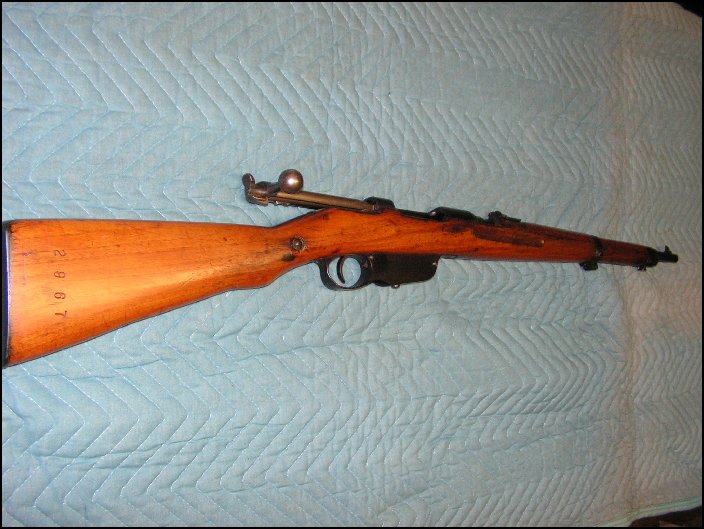 Austrian 1895 Steyr 8x56 Carbine