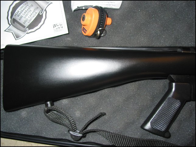 Armscor M1600 M16 Style 22lr Rifle Complete Pkg For Sale At 11117578 9865