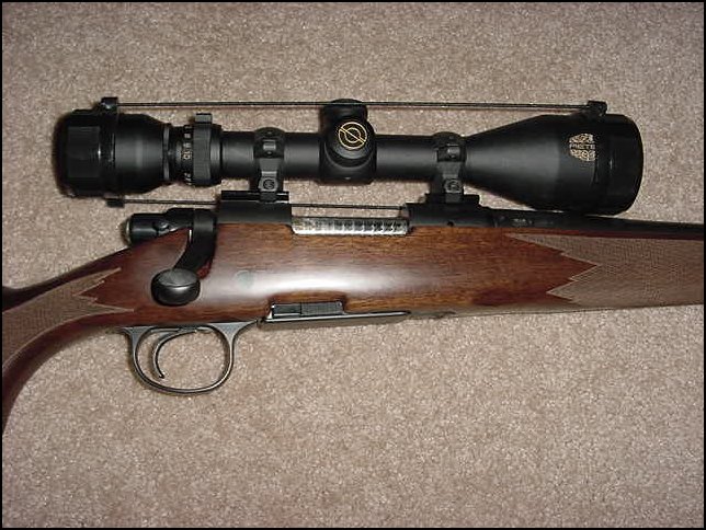 Remington Model 700 Mountain Rifle 260 Rem W/Scope For Sale at ...