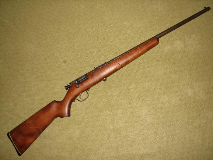 Savage Model 6610 22 S,L,Lr For Sale at GunAuction.com - 8760383