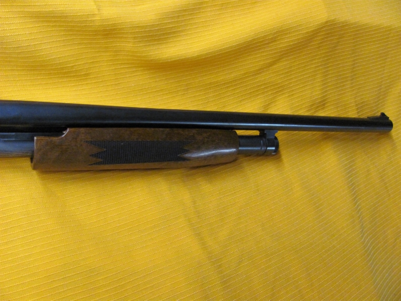 Mossberg M500a 12ga Cylinder Bore W/Sights 24 Inch For Sale at 10583142