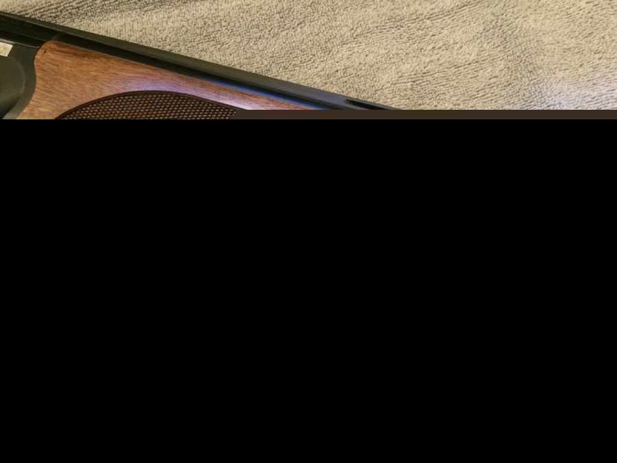 Cz-Usa Teal 12 Ga Over Under 12 Ga For Sale at GunAuction.com - 14420999