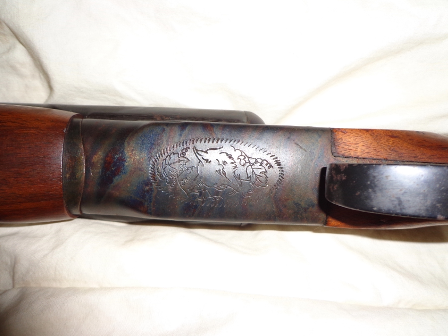 Savage-Fox Savage Fox B 12 Gauge Double Barrel Shotgun For Sale at ...