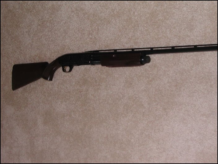 Browning Arms Co. Bps 28 Gauge 28 For Sale at GunAuction.com - 6767793