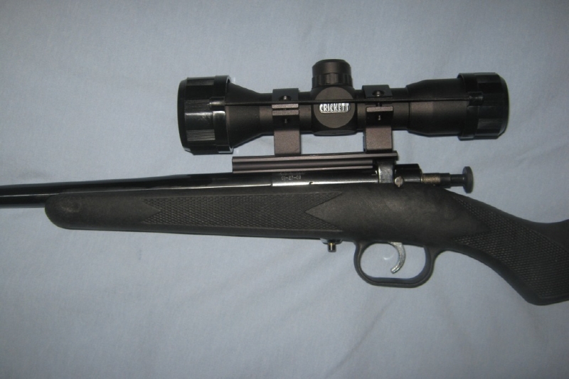 Keystone Sporting Arms Llc Crickett 22 Lr Youth Rifle With Scope For Sale At Gunauction Com 10302829